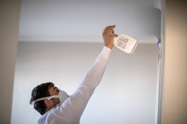 Best Fast Mold Removal  in Lake San Marcos, CA