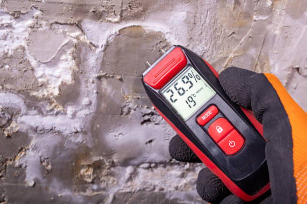 Trusted Lake San Marcos, CA Mold Removal Experts
