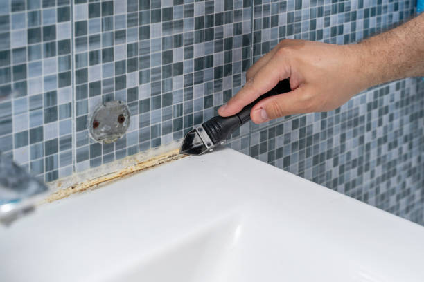 Best Certified Mold Removal  in Lake San Marcos, CA